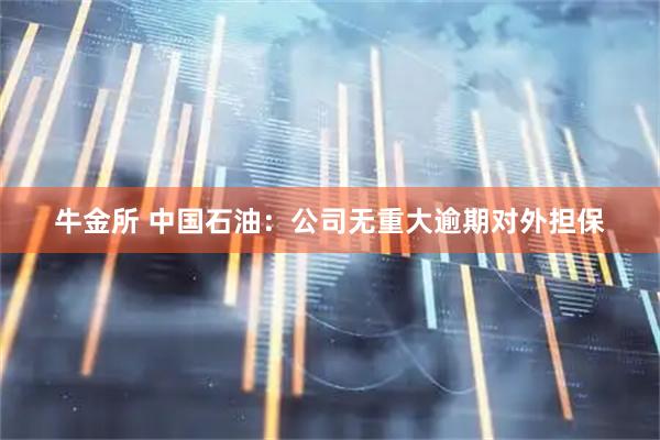 牛金所 中国石油：公司无重大逾期对外担保
