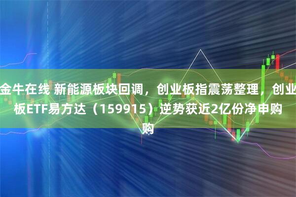 金牛在线 新能源板块回调，创业板指震荡整理，创业板ETF易方达（159915）逆势获近2亿份净申购
