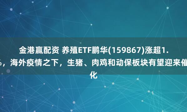金港赢配资 养殖ETF鹏华(159867)涨超1.8%，海外疫情之下，生猪、肉鸡和动保板块有望迎来催化